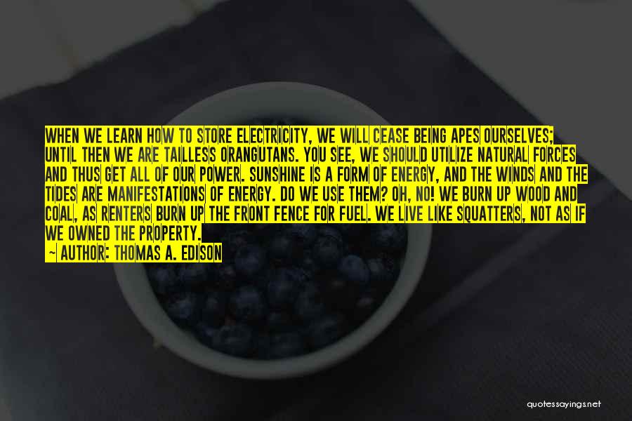 Burn Up Quotes By Thomas A. Edison