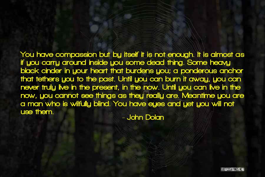 Burn Your Heart Quotes By John Dolan Burn Your Heart Quotes By John Dolan