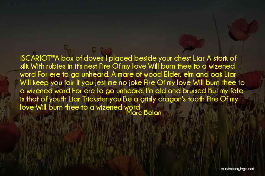 Burn Your Heart Quotes By Marc Bolan Burn Your Heart Quotes By Marc Bolan