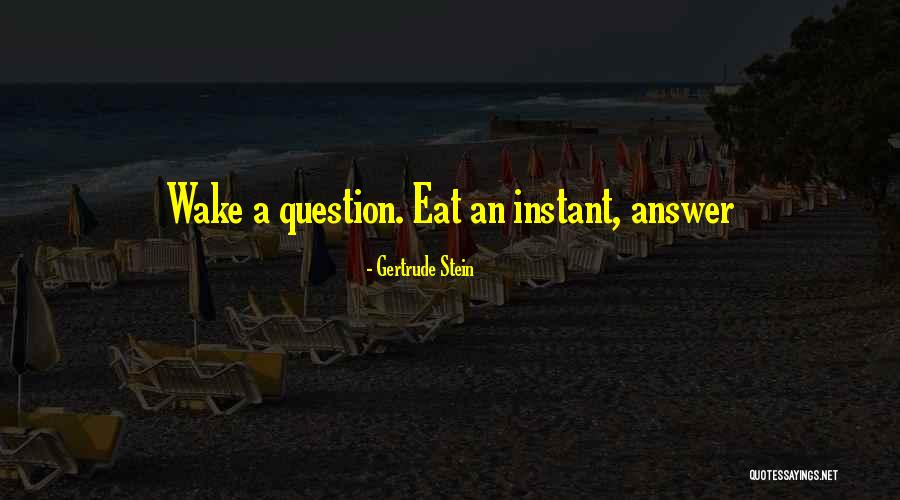 Burnable Media Quotes By Gertrude Stein