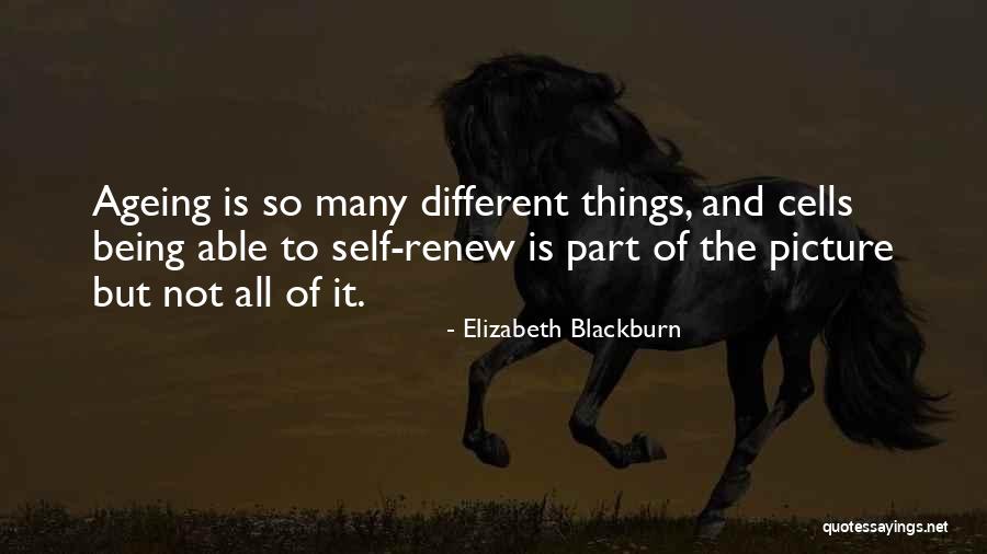 Burndy Crimpers Quotes By Elizabeth Blackburn Burndy Crimpers Quotes By Elizabeth Blackburn