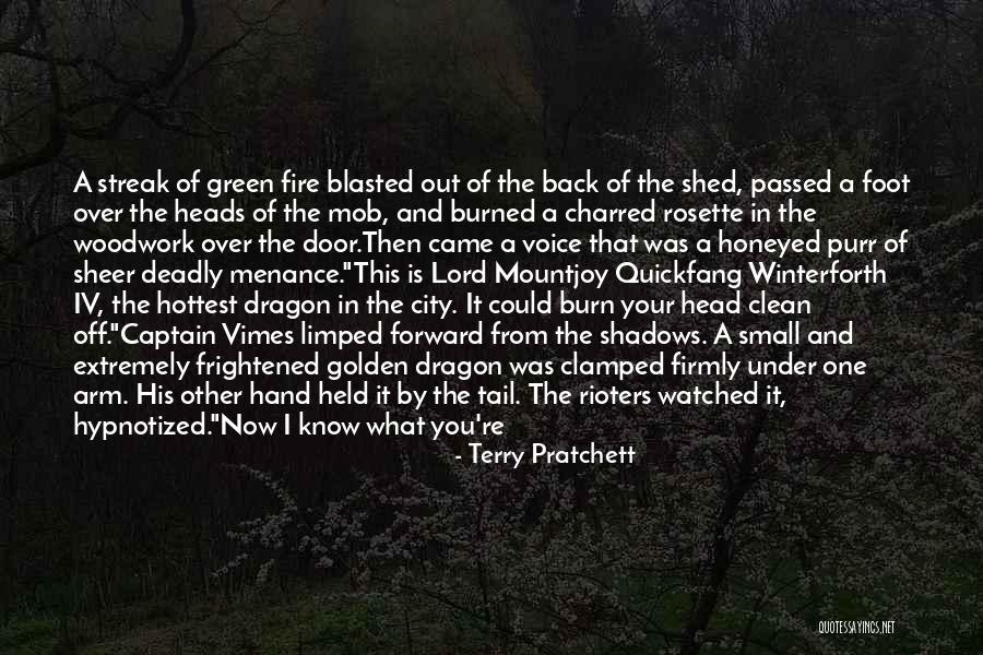 Burned Hand Quotes By Terry Pratchett