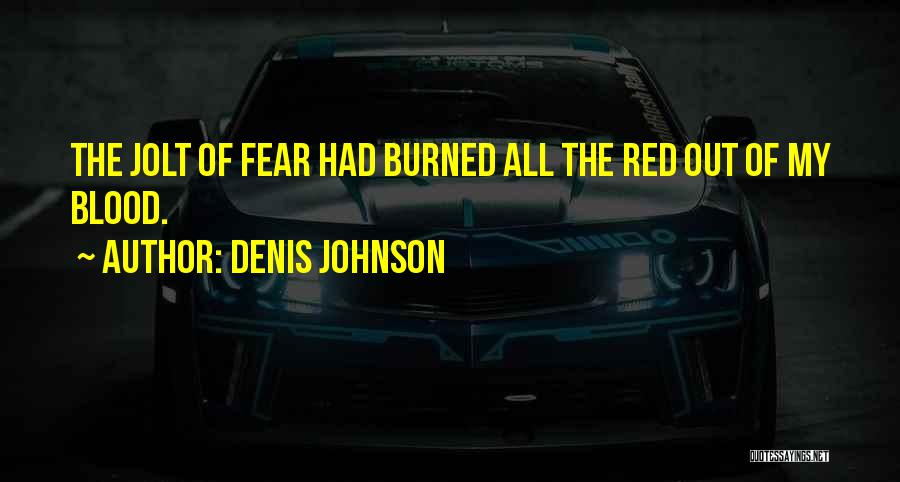 Burned Out Quotes By Denis Johnson