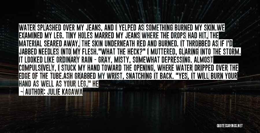 Burned Skin Quotes By Julie Kagawa