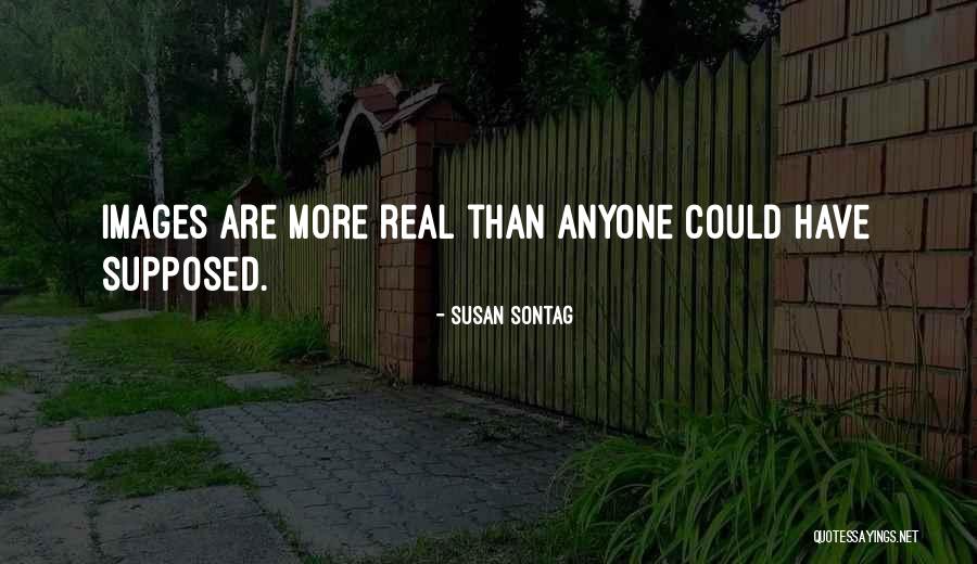 Burnfield Demolition Quotes By Susan Sontag Burnfield Demolition Quotes By Susan Sontag