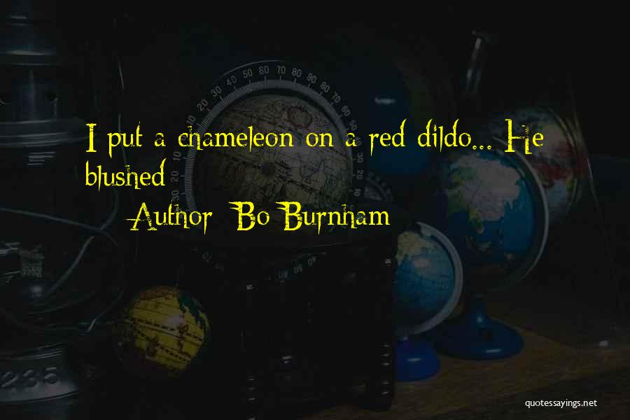 Burnham Quotes By Bo Burnham