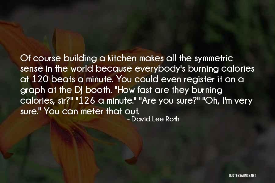 Burning Calories Quotes By David Lee Roth Burning Calories Quotes By David Lee Roth