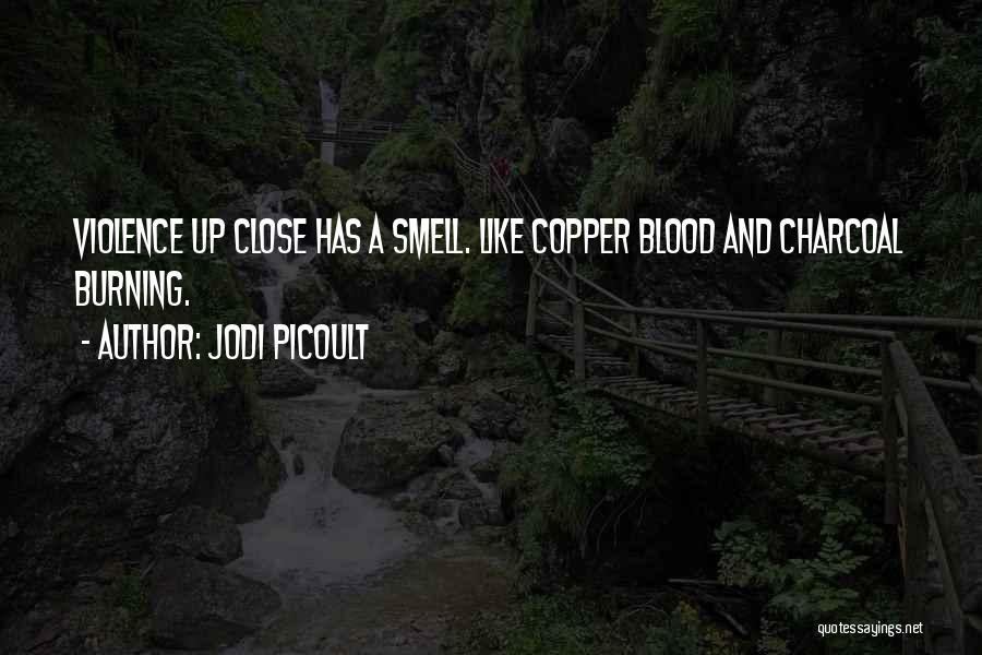 Burning Charcoal Quotes By Jodi Picoult