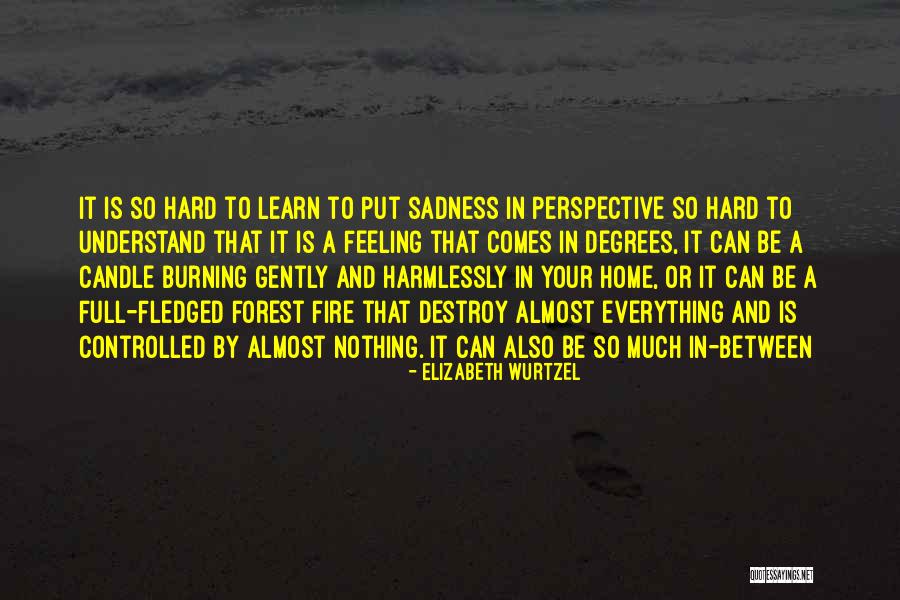 Top 34 Burning Forest Quotes & Sayings