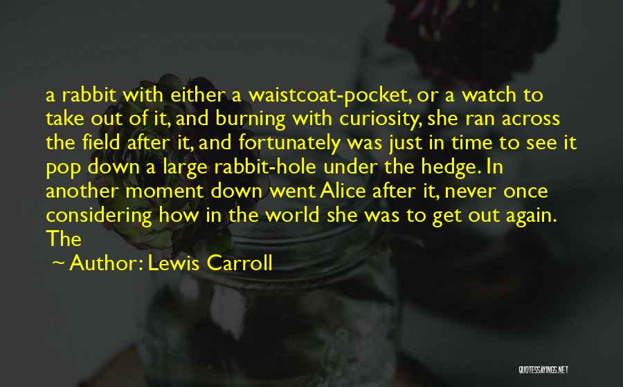 Burning It Down Quotes By Lewis Carroll