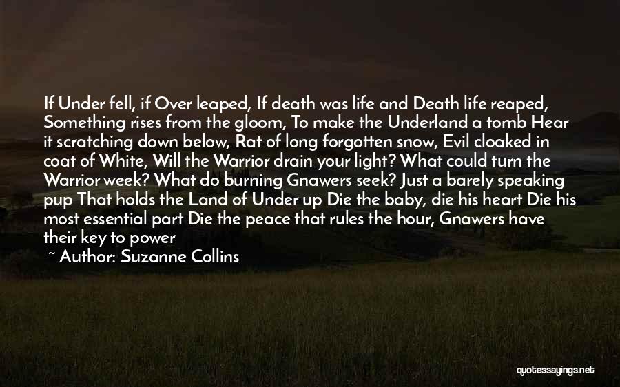 Burning It Down Quotes By Suzanne Collins