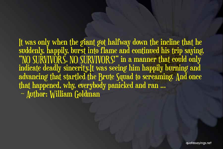 Burning It Down Quotes By William Goldman