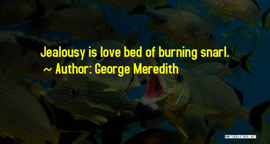 Burning Love Quotes By George Meredith