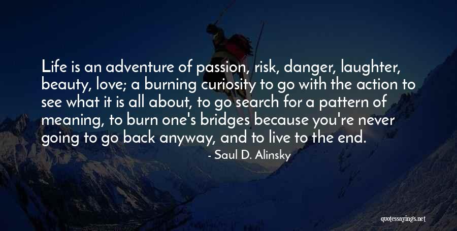 Burning Passion Quotes By Saul D. Alinsky Burning Passion Quotes By Saul D. Alinsky