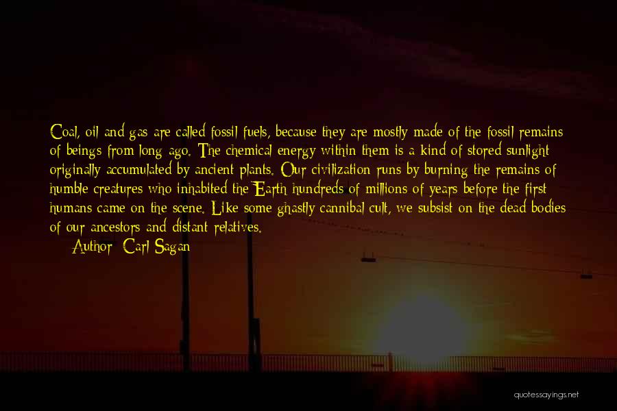Burning Quotes By Carl Sagan