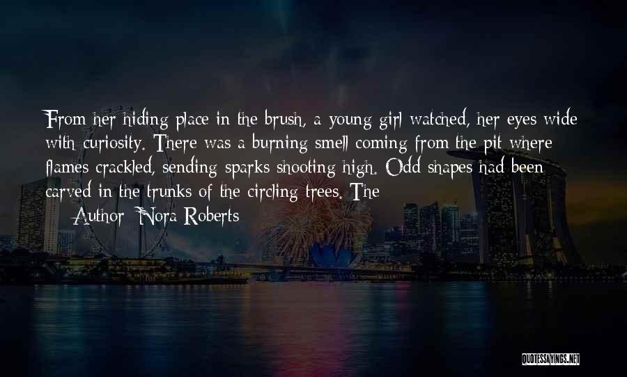 Burning Quotes By Nora Roberts