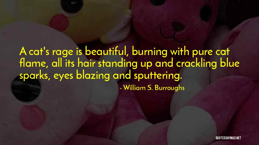 Burning Rage Quotes By William S. Burroughs Burning Rage Quotes By William S. Burroughs