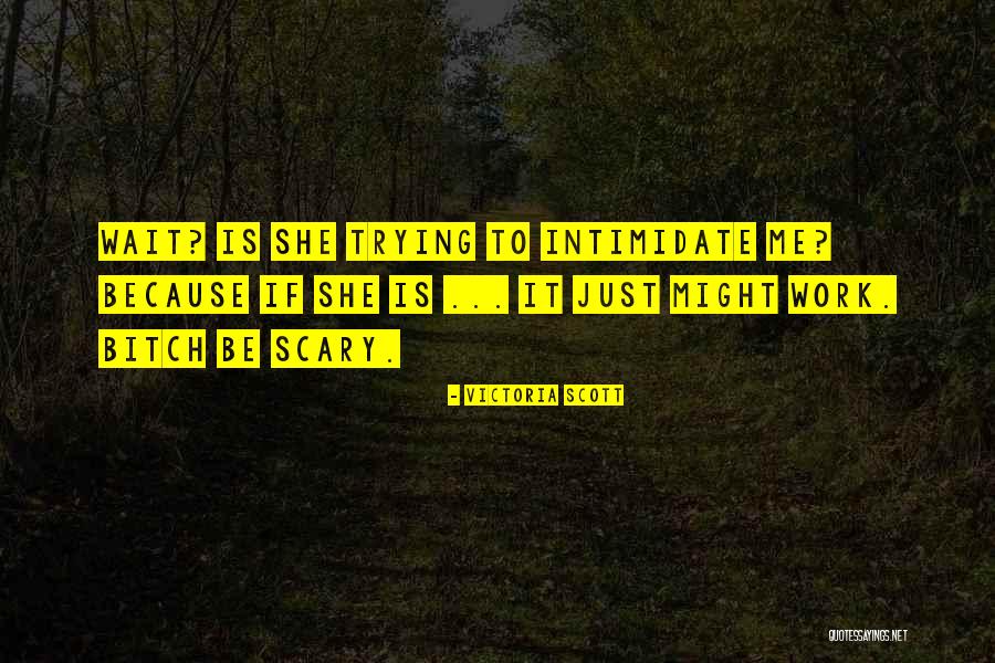 Burning Sunset Quotes By Victoria Scott Burning Sunset Quotes By Victoria Scott