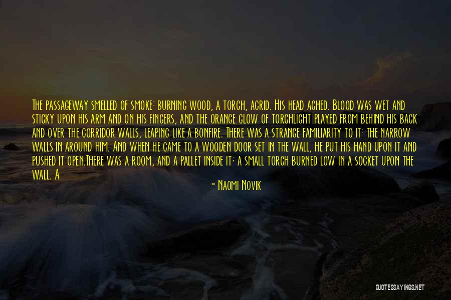 Burning Torch Quotes By Naomi Novik Burning Torch Quotes By Naomi Novik