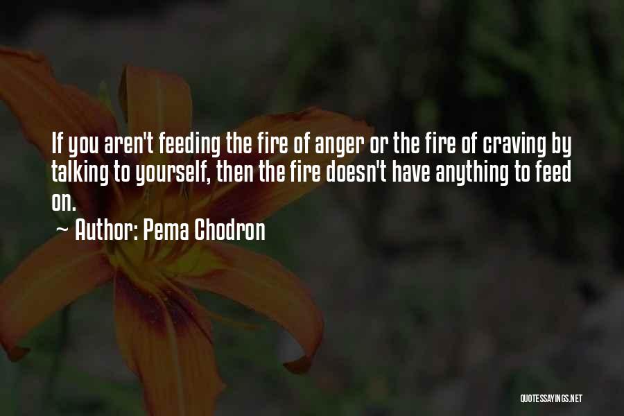 Burning Yourself Quotes By Pema Chodron