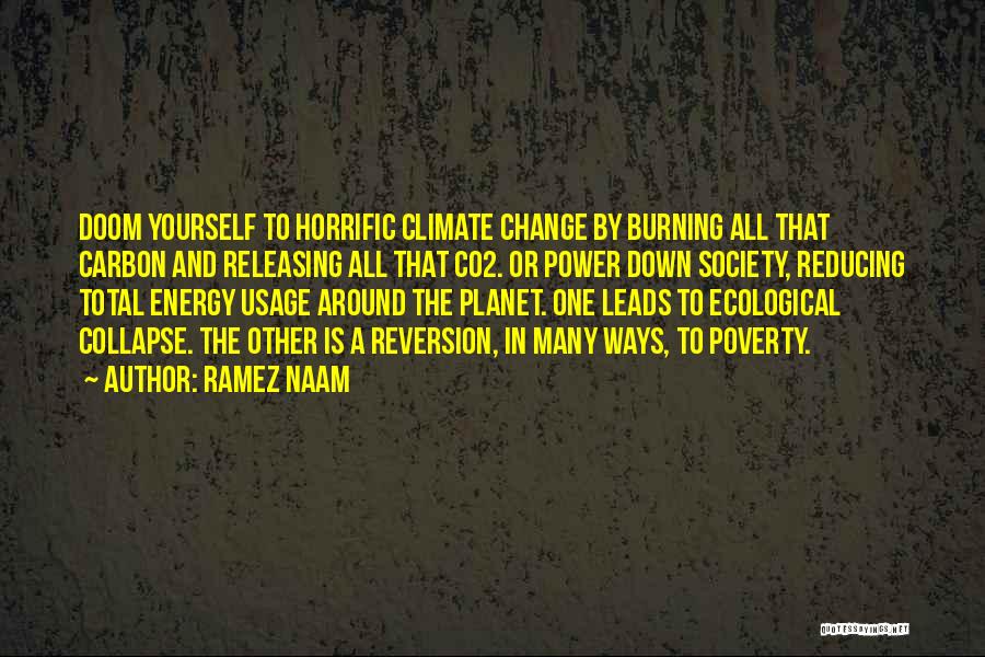Burning Yourself Quotes By Ramez Naam
