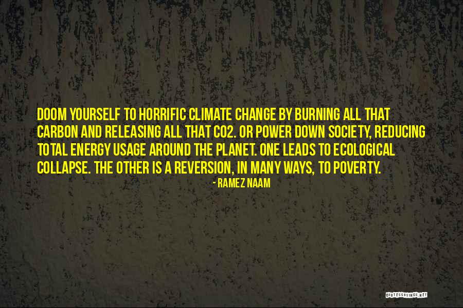 Burning Yourself Quotes By Ramez Naam