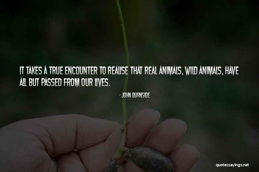Burnside Quotes By John Burnside Burnside Quotes By John Burnside