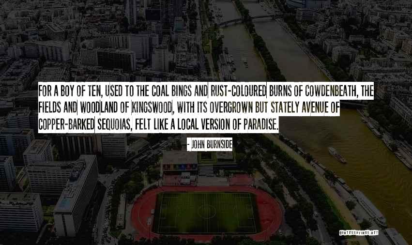 Burnside Quotes By John Burnside Burnside Quotes By John Burnside