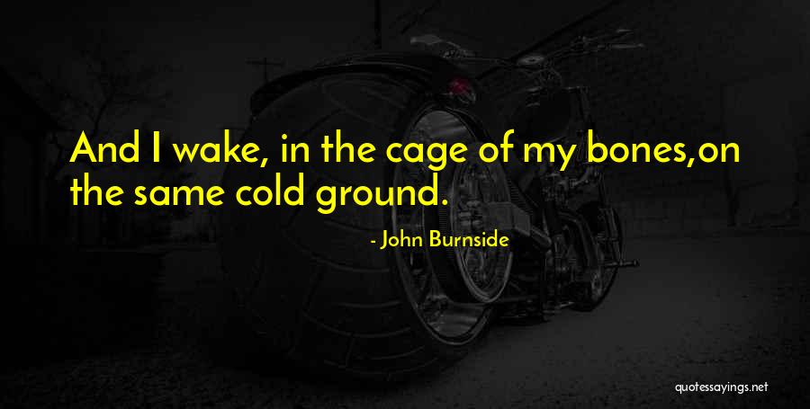 Burnside Quotes By John Burnside Burnside Quotes By John Burnside