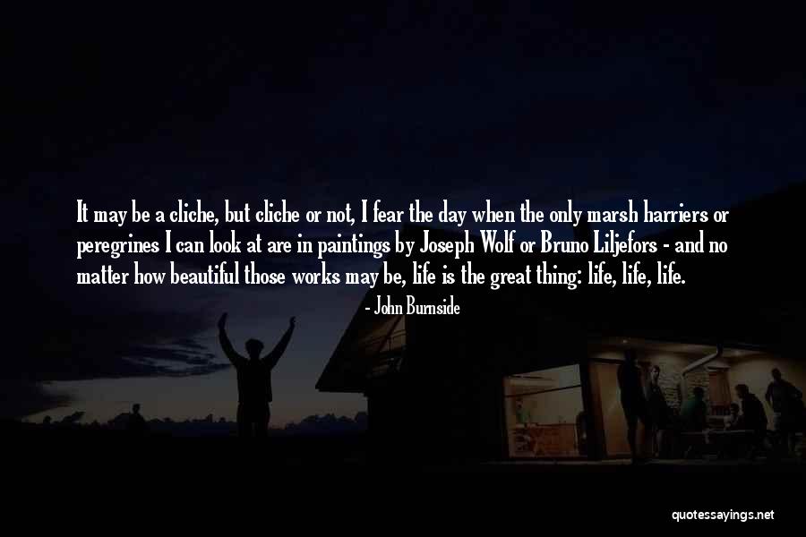 Burnside Quotes By John Burnside Burnside Quotes By John Burnside