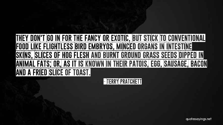 Burnt Food Quotes By Terry Pratchett