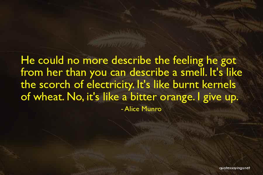 Burnt Orange Quotes By Alice Munro Burnt Orange Quotes By Alice Munro