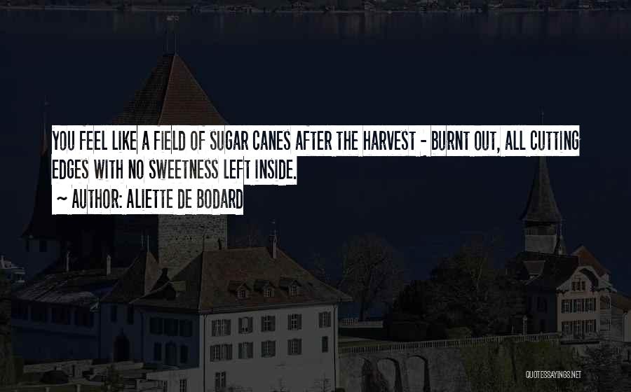 Burnt Quotes By Aliette De Bodard