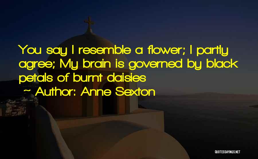 Burnt Quotes By Anne Sexton