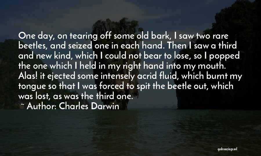 Burnt Quotes By Charles Darwin