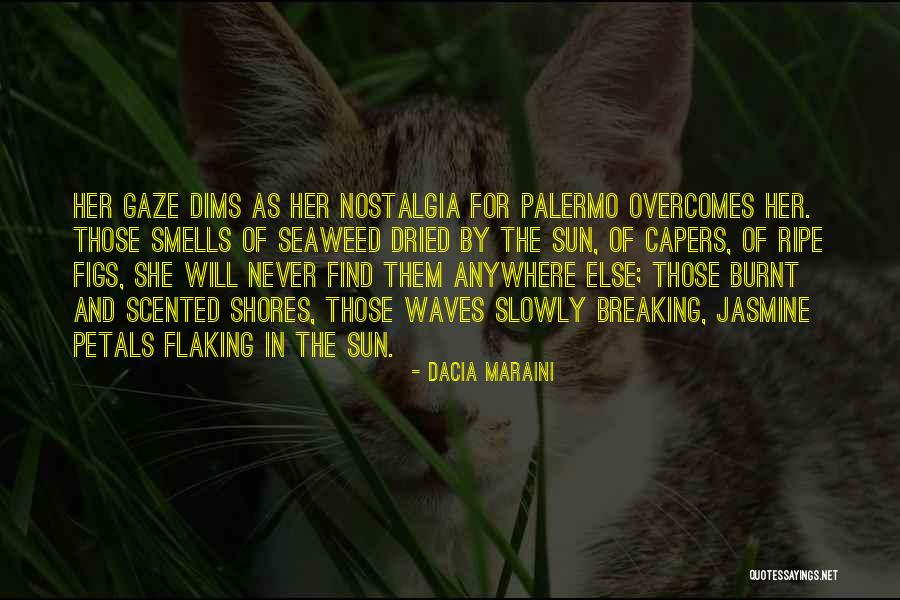 Burnt Quotes By Dacia Maraini Burnt Quotes By Dacia Maraini