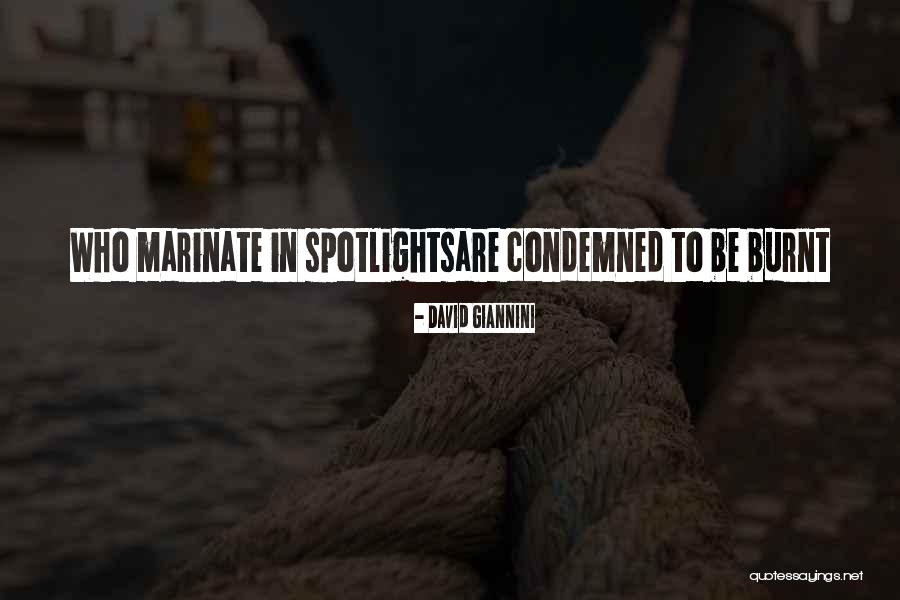Burnt Quotes By David Giannini Burnt Quotes By David Giannini