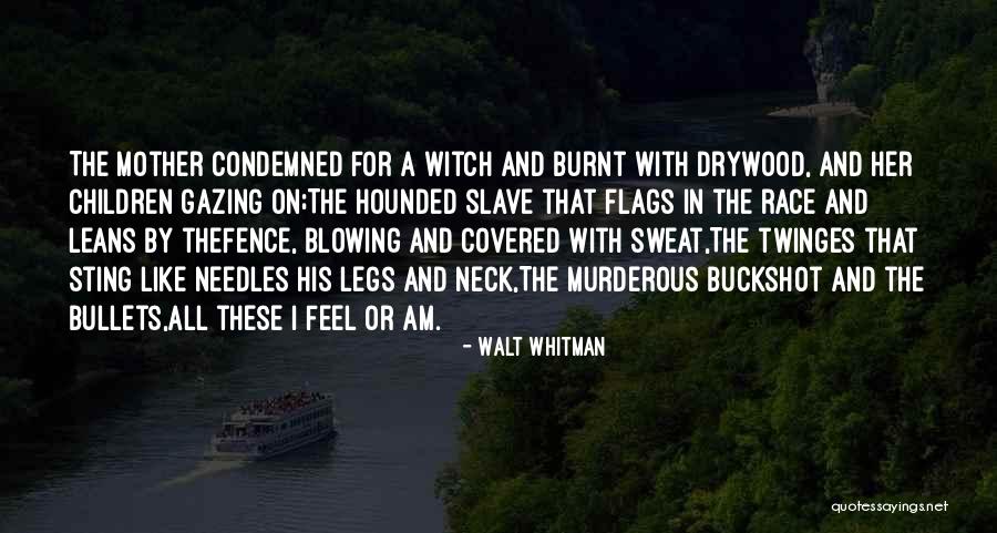 Burnt Quotes By Walt Whitman