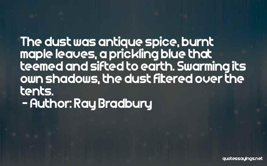 Burnt Shadows Quotes By Ray Bradbury