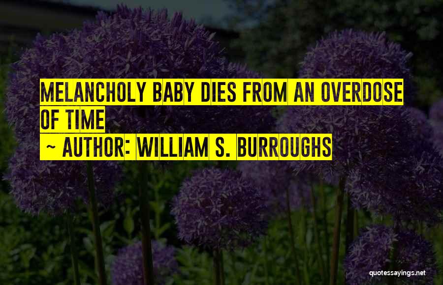 Burroughs William Quotes By William S. Burroughs