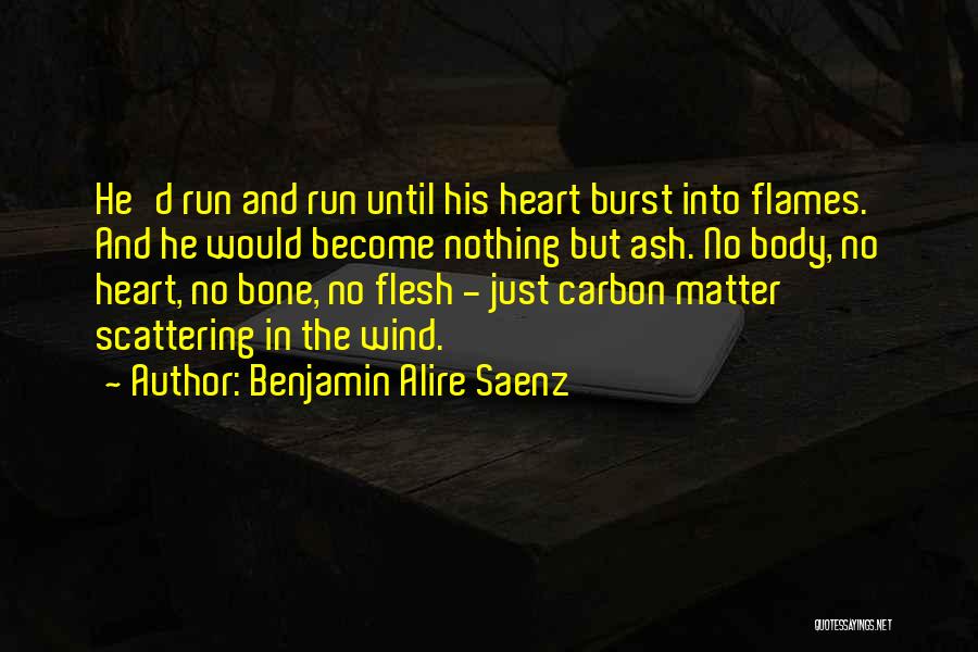 Burst Into Flames Quotes By Benjamin Alire Saenz
