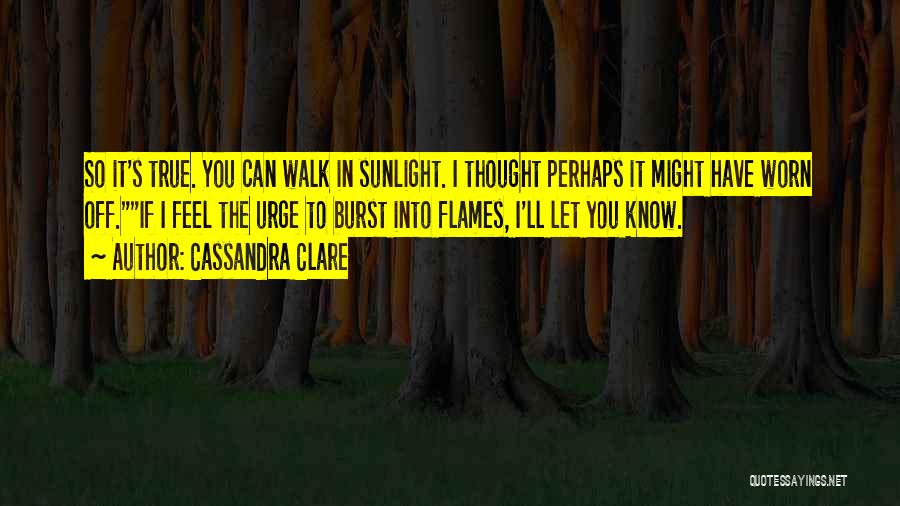 Burst Into Flames Quotes By Cassandra Clare