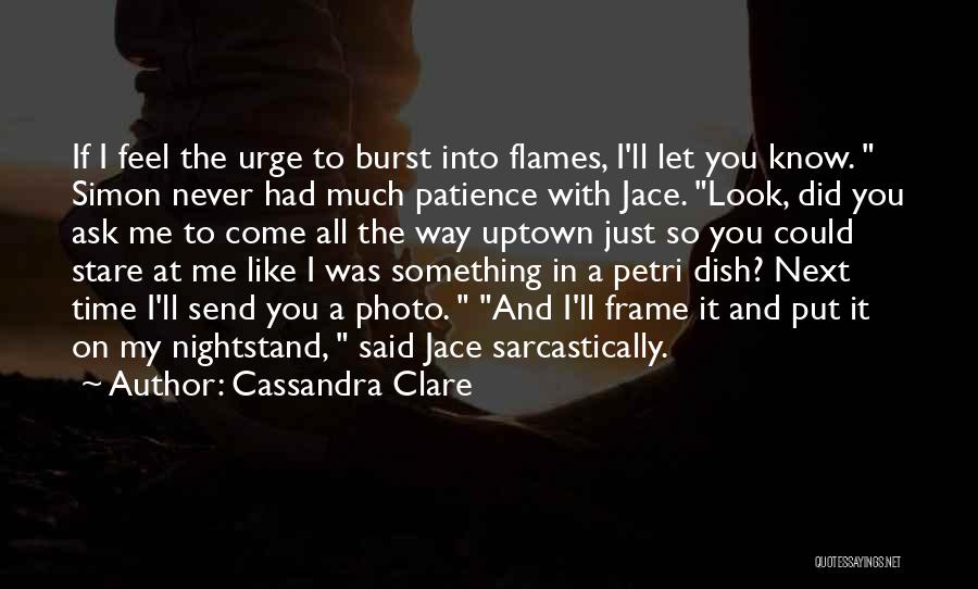 Burst Into Flames Quotes By Cassandra Clare
