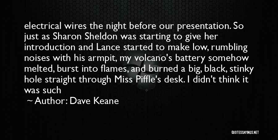 Burst Into Flames Quotes By Dave Keane