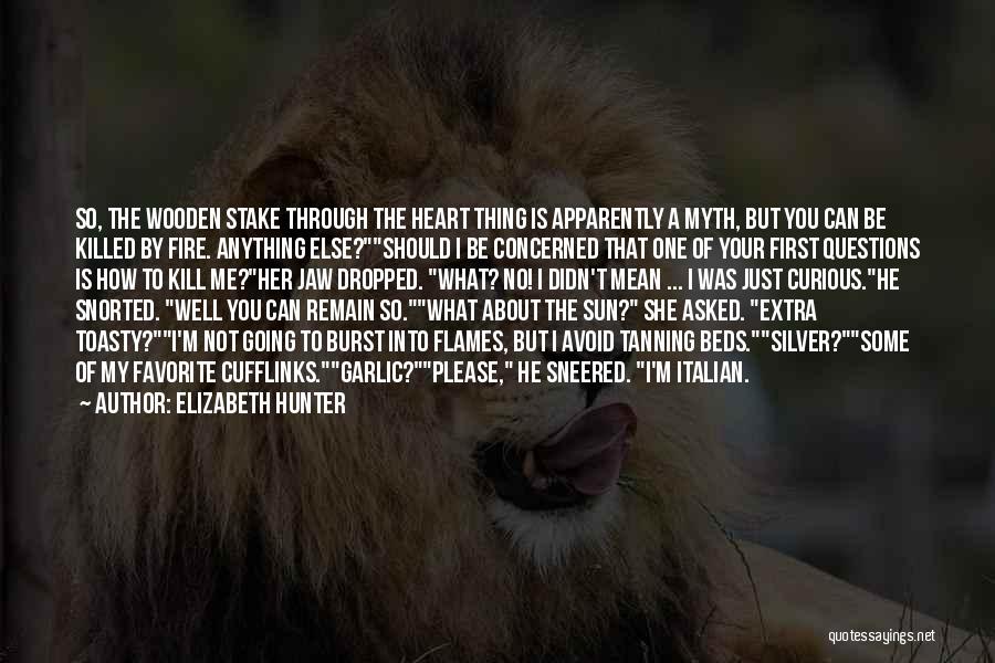 Burst Into Flames Quotes By Elizabeth Hunter
