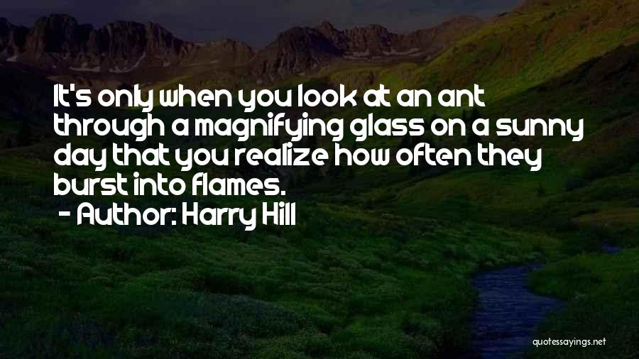 Burst Into Flames Quotes By Harry Hill