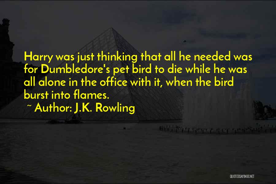 Burst Into Flames Quotes By J.K. Rowling