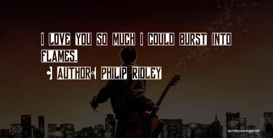 Burst Into Flames Quotes By Philip Ridley