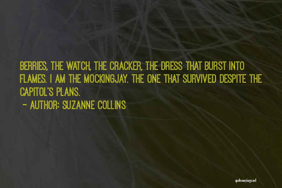 Burst Into Flames Quotes By Suzanne Collins