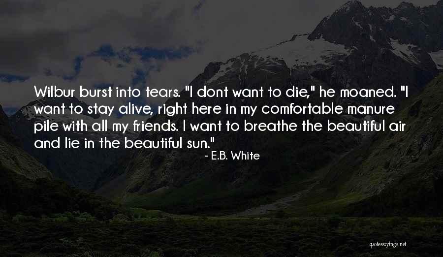 Burst Into Tears Quotes By E.B. White Burst Into Tears Quotes By E.B. White